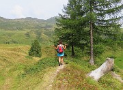 74 Bello scendere sui sentieri erbosi dei pascoli